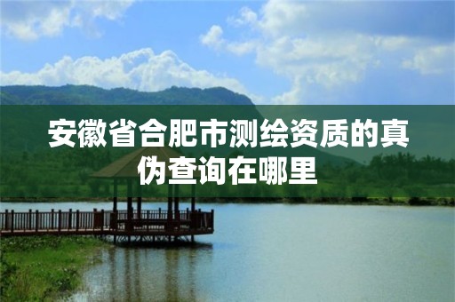 安徽省合肥市测绘资质的真伪查询在哪里