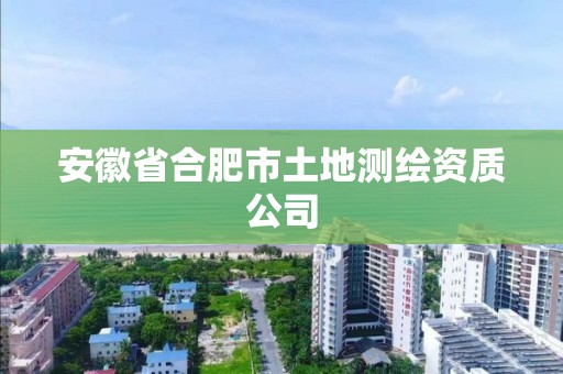 安徽省合肥市土地测绘资质公司