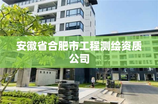 安徽省合肥市工程测绘资质公司