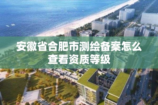 安徽省合肥市测绘备案怎么查看资质等级