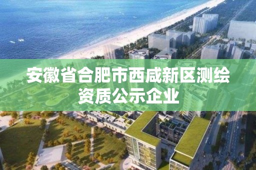 安徽省合肥市西咸新区测绘资质公示企业