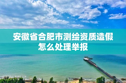 安徽省合肥市测绘资质造假怎么处理举报