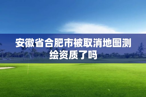 安徽省合肥市被取消地图测绘资质了吗