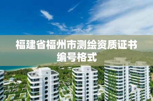 福建省福州市测绘资质证书编号格式