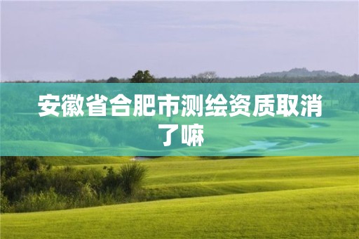 安徽省合肥市测绘资质取消了嘛