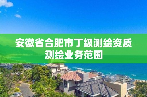 安徽省合肥市丁级测绘资质测绘业务范围