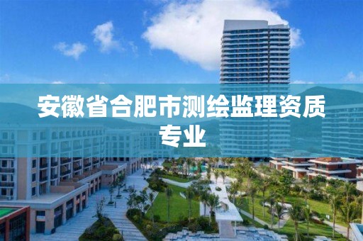 安徽省合肥市测绘监理资质专业