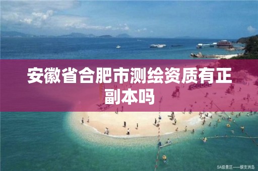 安徽省合肥市测绘资质有正副本吗