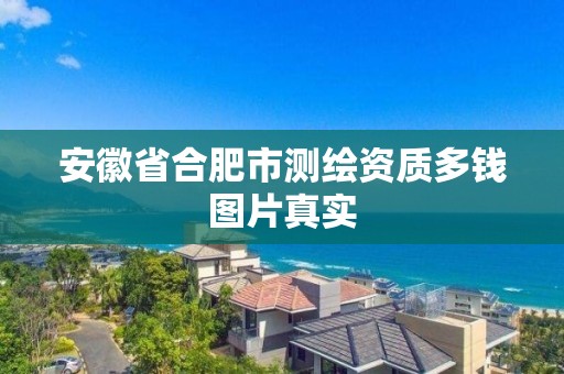 安徽省合肥市测绘资质多钱图片真实