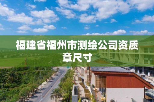 福建省福州市测绘公司资质章尺寸