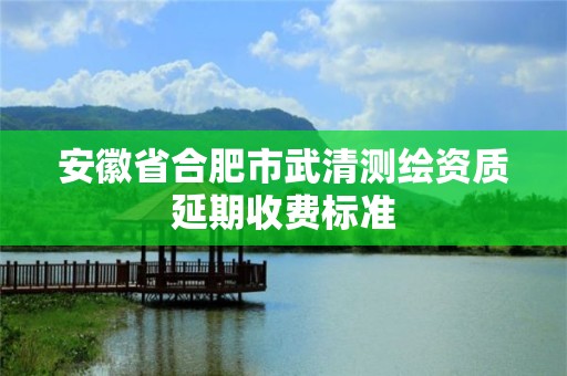 安徽省合肥市武清测绘资质延期收费标准