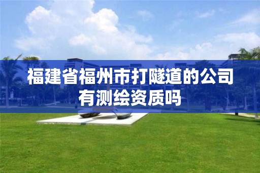 福建省福州市打隧道的公司有测绘资质吗