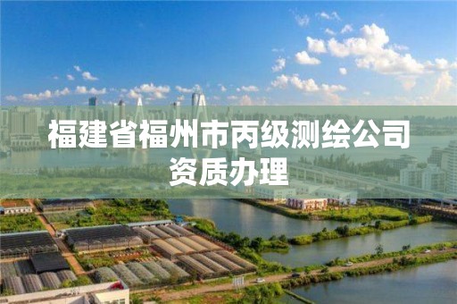 福建省福州市丙级测绘公司资质办理