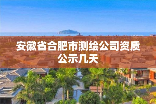 安徽省合肥市测绘公司资质公示几天