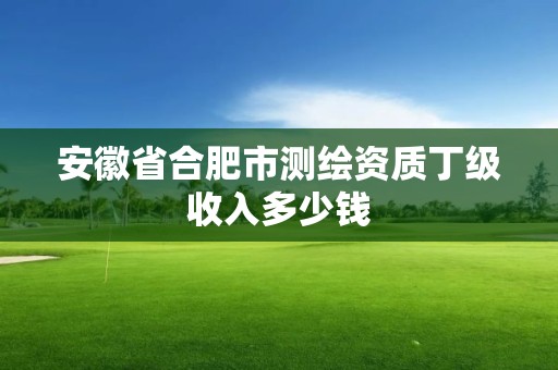 安徽省合肥市测绘资质丁级收入多少钱