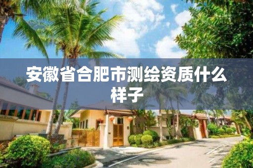 安徽省合肥市测绘资质什么样子