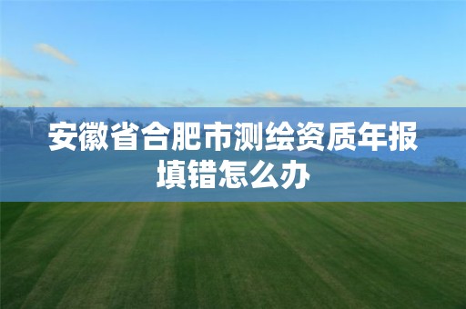 安徽省合肥市测绘资质年报填错怎么办