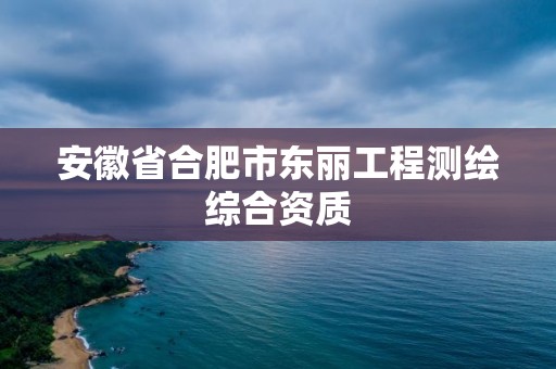 安徽省合肥市东丽工程测绘综合资质