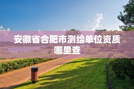 安徽省合肥市测绘单位资质哪里查