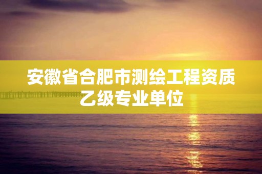 安徽省合肥市测绘工程资质乙级专业单位