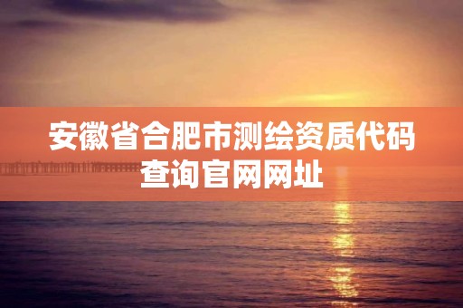 安徽省合肥市测绘资质代码查询官网网址