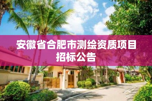 安徽省合肥市测绘资质项目招标公告