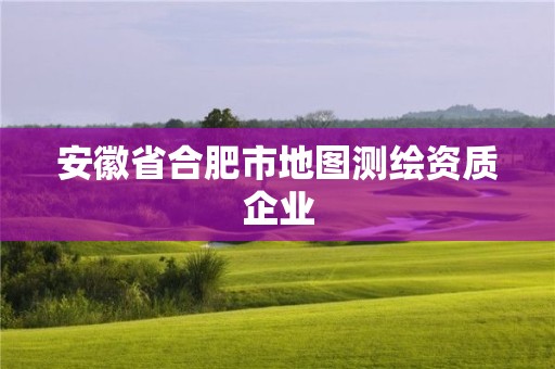 安徽省合肥市地图测绘资质企业