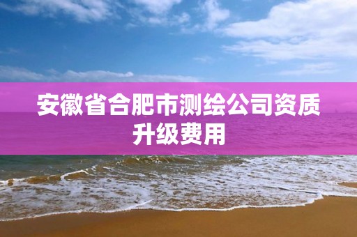 安徽省合肥市测绘公司资质升级费用