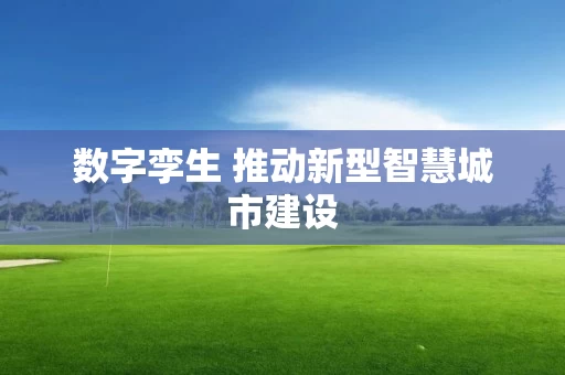 数字孪生 推动新型智慧城市建设 数字孪生 推动新型智慧城市建设
