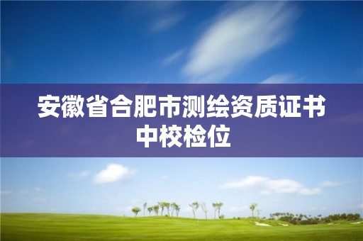 安徽省合肥市测绘资质证书中校检位