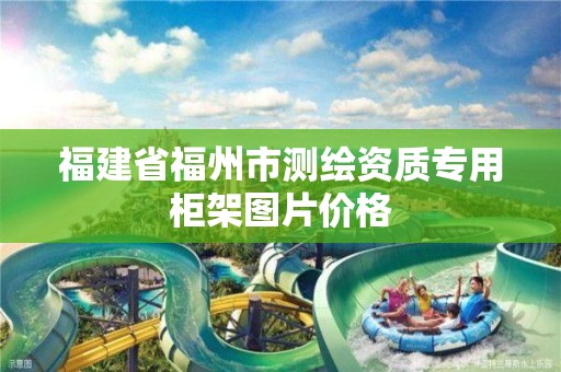 福建省福州市测绘资质专用柜架图片价格