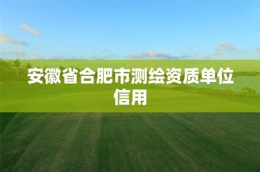 安徽省合肥市测绘资质单位信用