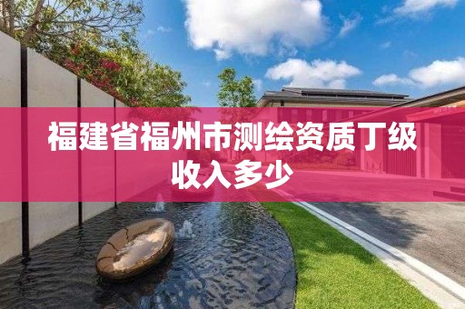 福建省福州市测绘资质丁级收入多少