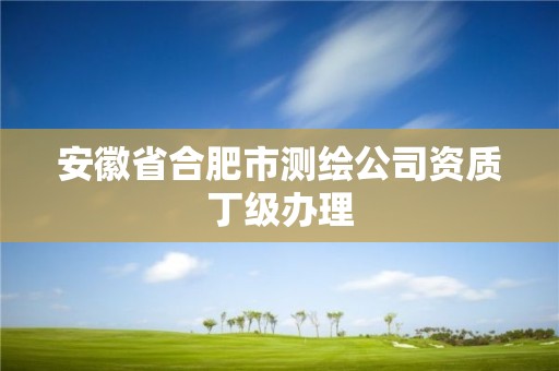 安徽省合肥市测绘公司资质丁级办理