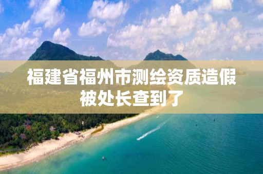 福建省福州市测绘资质造假被处长查到了