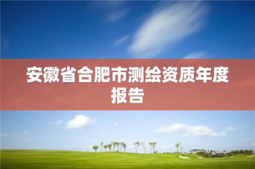 安徽省合肥市测绘资质年度报告