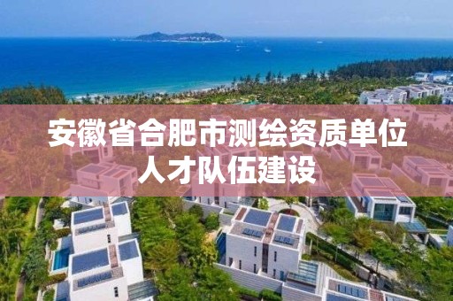 安徽省合肥市测绘资质单位人才队伍建设