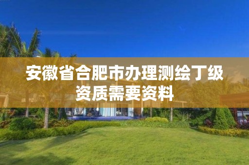 安徽省合肥市办理测绘丁级资质需要资料