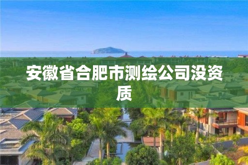 安徽省合肥市测绘公司没资质