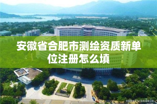 安徽省合肥市测绘资质新单位注册怎么填