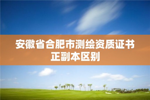 安徽省合肥市测绘资质证书正副本区别