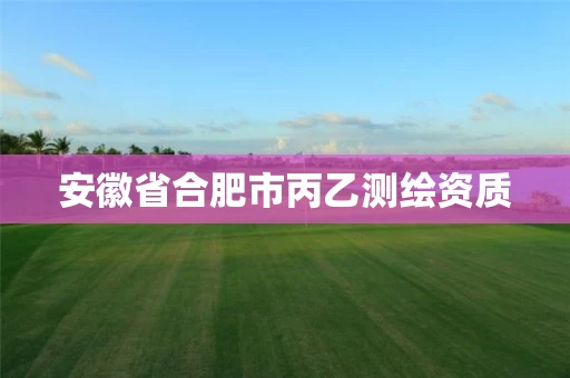 安徽省合肥市丙乙测绘资质 安徽省合肥市丙乙测绘资质