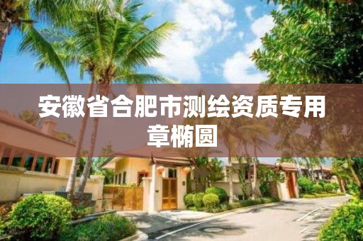 安徽省合肥市测绘资质专用章椭圆