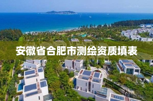 安徽省合肥市测绘资质填表