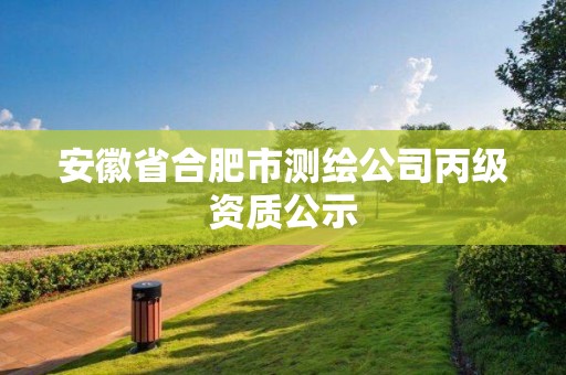 安徽省合肥市测绘公司丙级资质公示