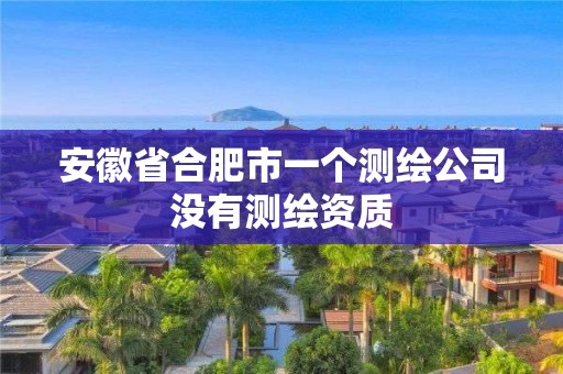 安徽省合肥市一个测绘公司没有测绘资质