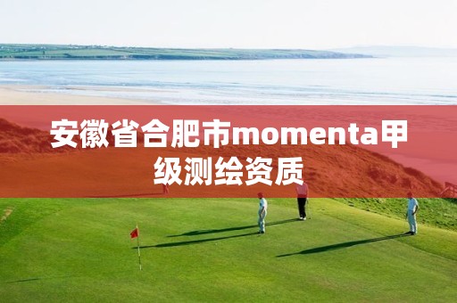 安徽省合肥市momenta甲级测绘资质