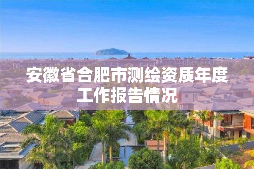 安徽省合肥市测绘资质年度工作报告情况