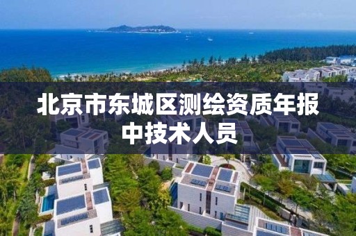 北京市东城区测绘资质年报中技术人员