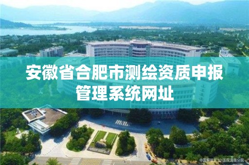 安徽省合肥市测绘资质申报管理系统网址